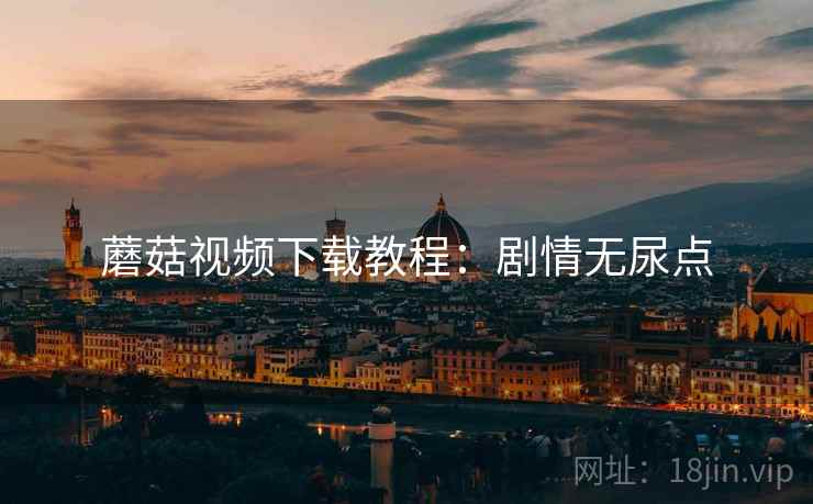 蘑菇视频下载教程：剧情无尿点