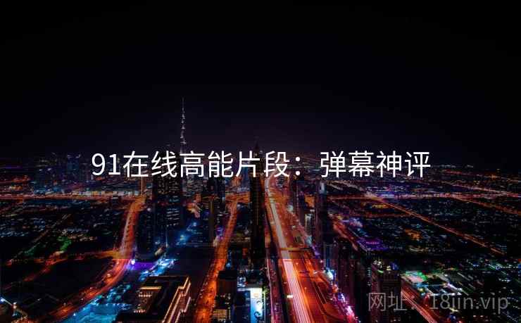91在线高能片段：弹幕神评