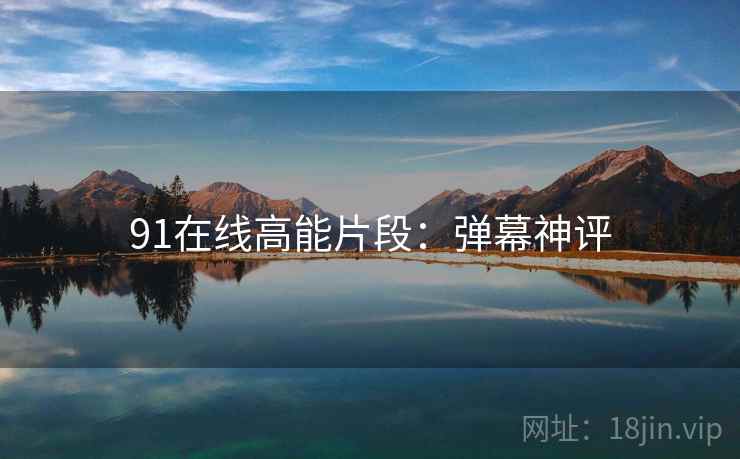 91在线高能片段：弹幕神评