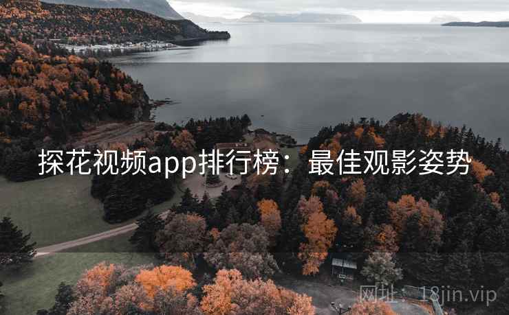 探花视频app排行榜:最佳观影姿势